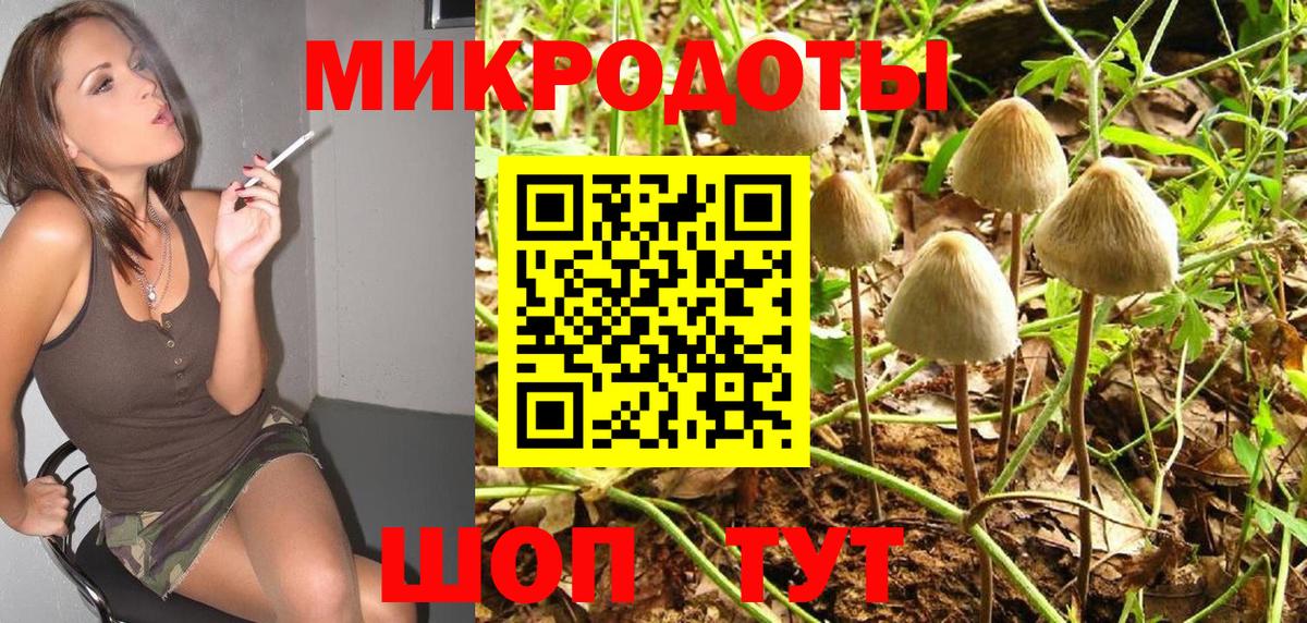 Галлюциногенные грибы Magic Shrooms  Вход с VPN  Псилоцибиновые грибы мухоморы  Звенигород 